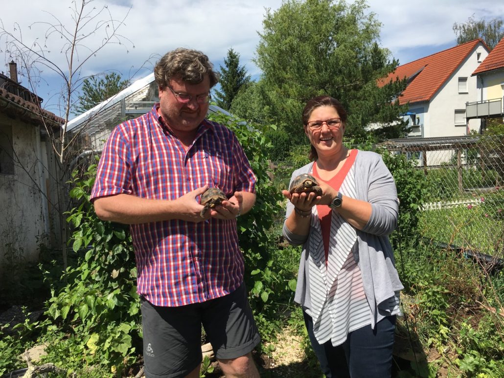 Frau Vogt und Herr Dr. Schrumpf mit zwei Köhlerschildkröten in deren neuen Außengehege