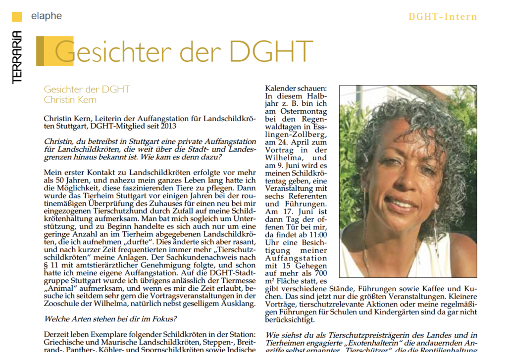 Vorschau Artikel "Gesichter der DGHT"