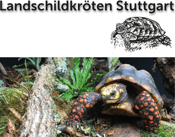 Landschildkröten Stuttgart - Logo