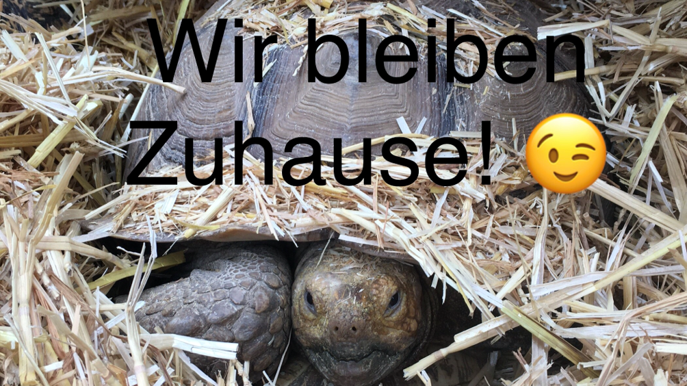 WirBleibenZuhause