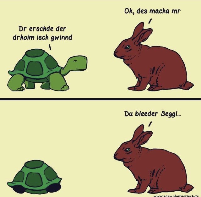 Schildkroete_Hase