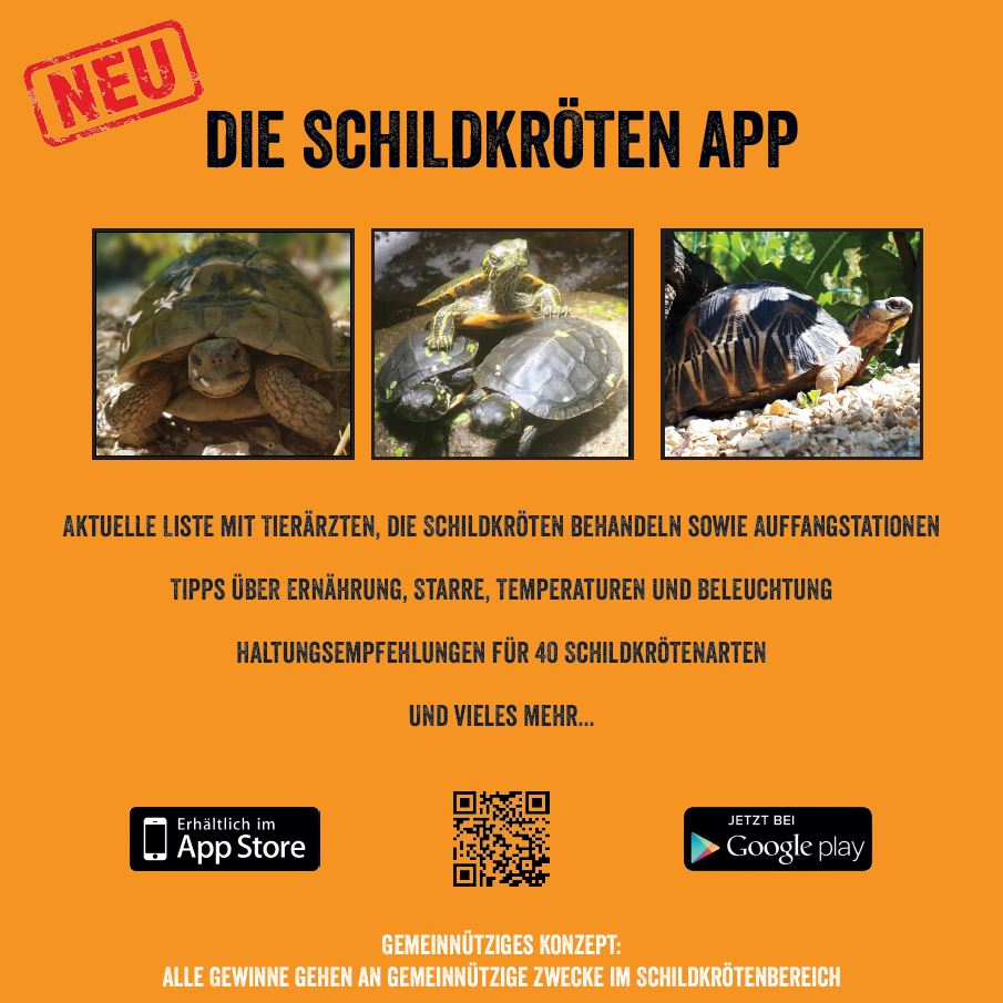 Schildkroeten-App