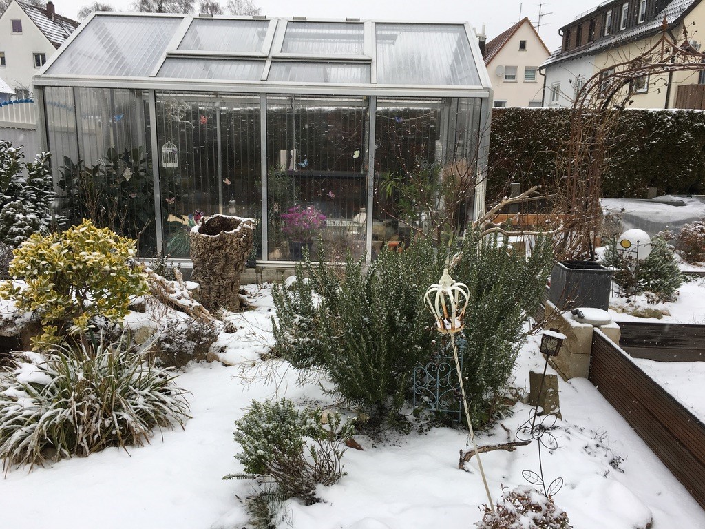 Garten-Schnee